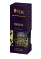 MK_IRVING PREMIUM_BANCHA_front.png